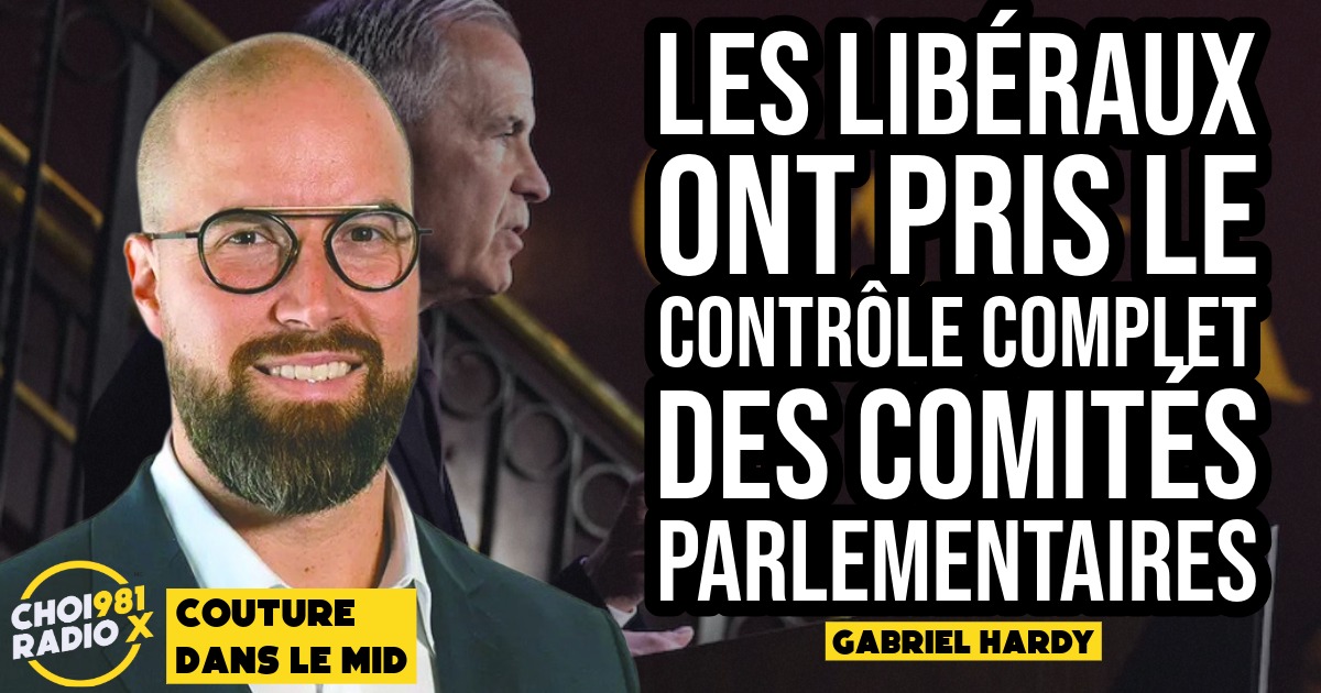 Les libéraux ont pris le contrôle complet des comités parlementaires episode artwork