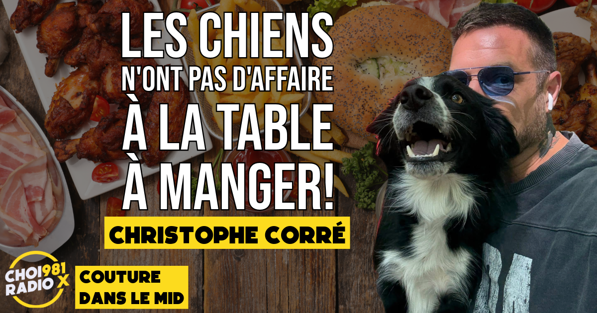 Christophe Corré: Les chiens n’ont pas d’affaire à la table à manger! episode artwork